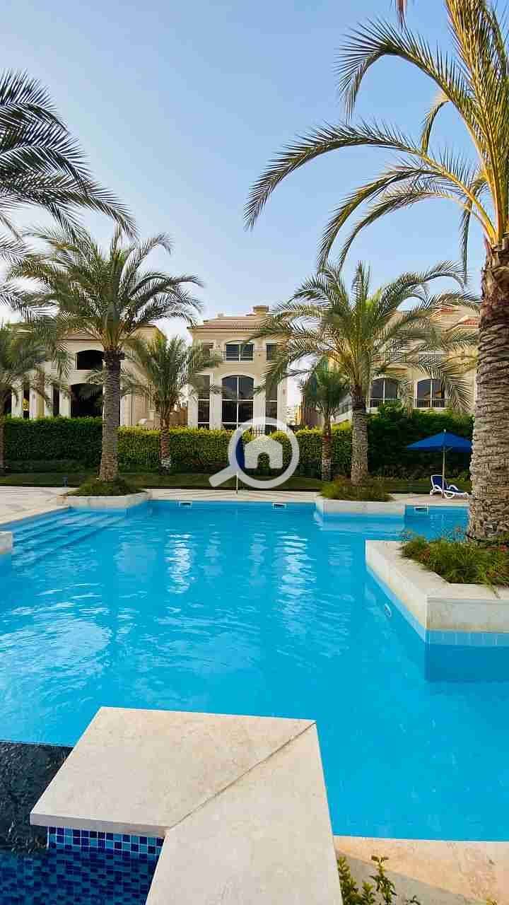 3 IMG_20230314_191313_927. jpg