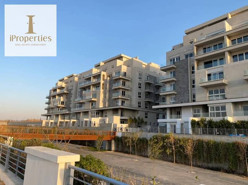 4 WhatsApp Image 2025-05-14 at 2.31. 07 PM. jpeg