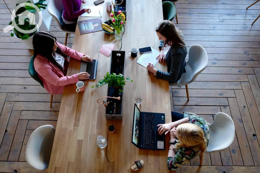 8 pexels-cowomen-1058097-2041627. jpg