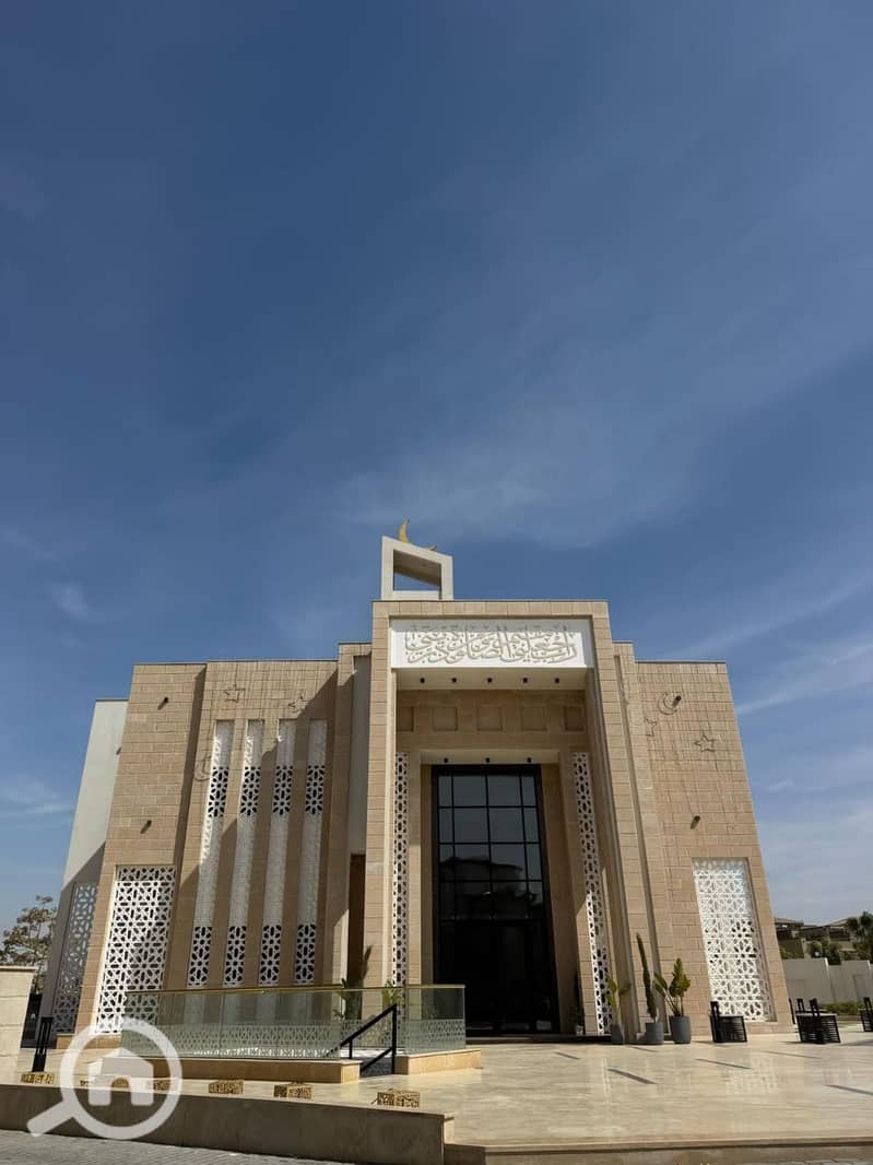 6 photo_2025-03-26_01-16-33. jpg