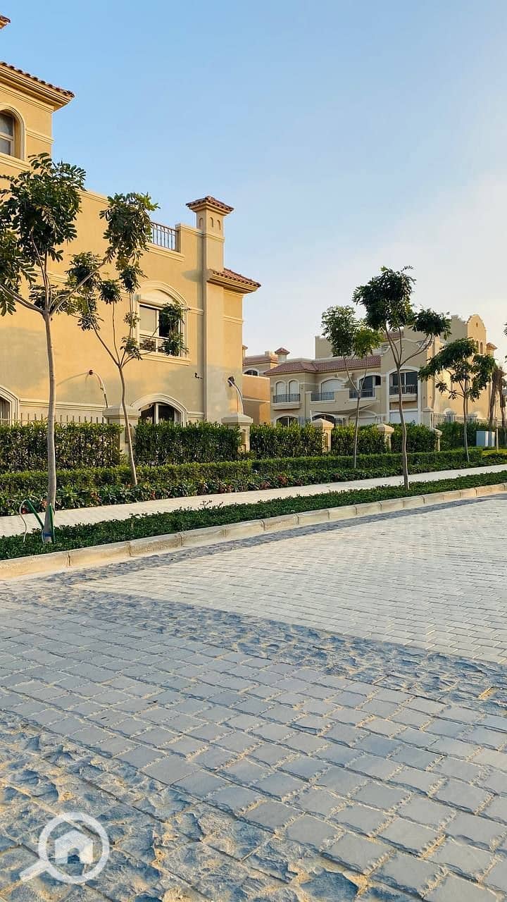 7 photo_2025-02-19_04-17-23. jpg