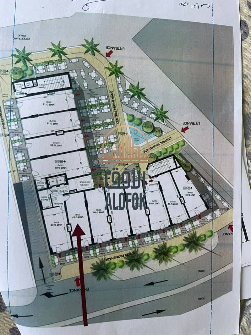 3 IMG-20250313-WA0016. jpg