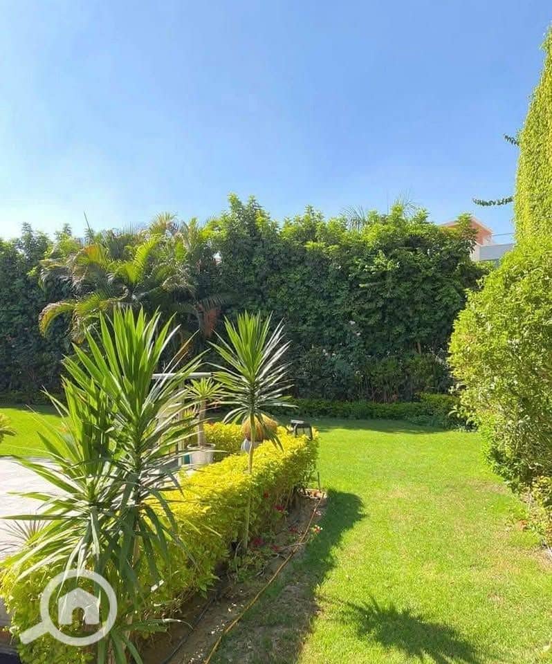 10 518378377_122140062092834009_292922211862416997_n. jpg