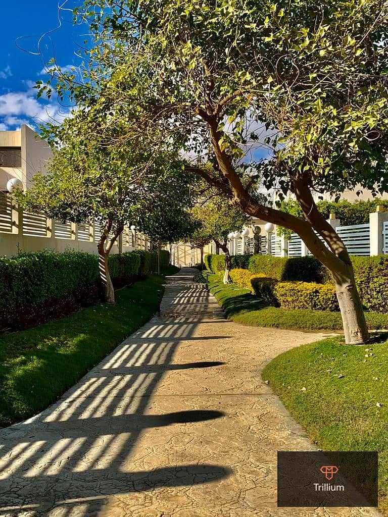 8 WhatsApp Image 2025-11-14 at 8.33. 17 PM (3). jpeg