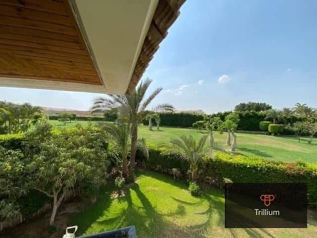 3 499921775_1007805428231578_5581981106282814599_n. jpg