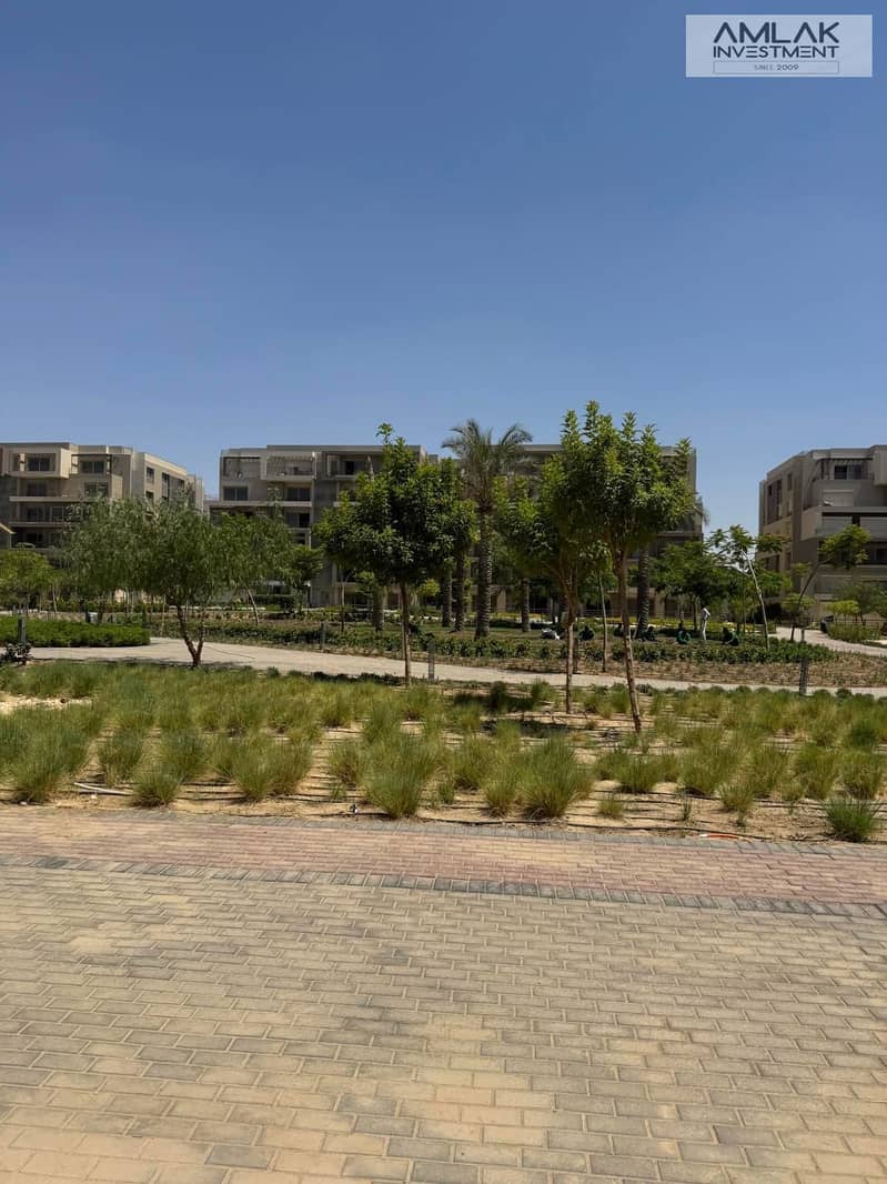 5 38f1c1b6-c8e0-40d4-a7af-9c147cfd6d5c. jpeg