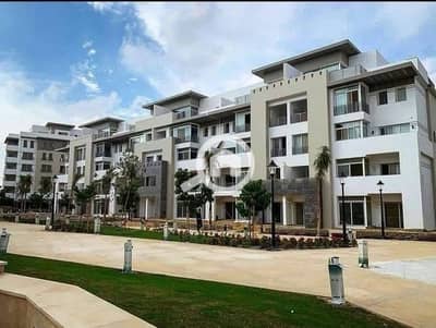 فیلا 4 غرف نوم للبيع في القاهرة الجديدة، القاهرة - 581111119_852713230949127_3222809786074863799_n. jpg فیلا 4 غرف نوم للبيع في القاهرة الجديدة، القاهرة - 581111119_852713230949127_3222809786074863799_n. jpg