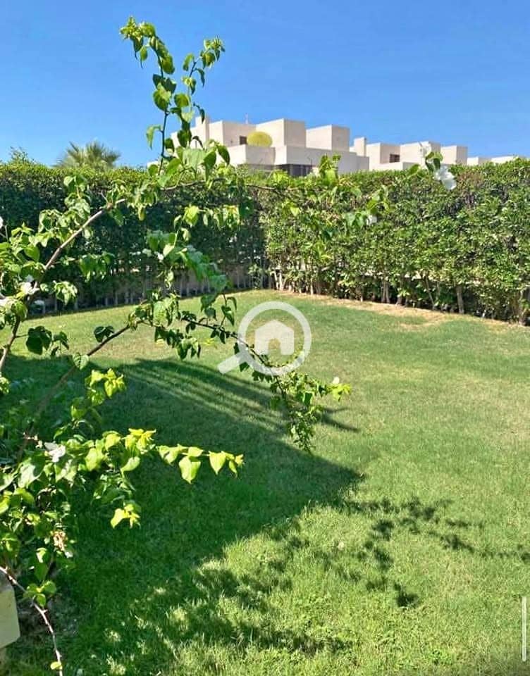 6 578269358_122155211072869684_565891049233514927_n. jpg