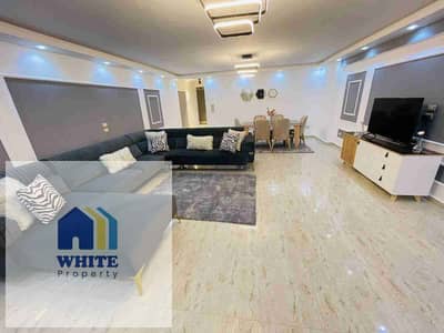 3 Bedroom Apartment for Rent in Dokki, Giza - 1000580324. jpg