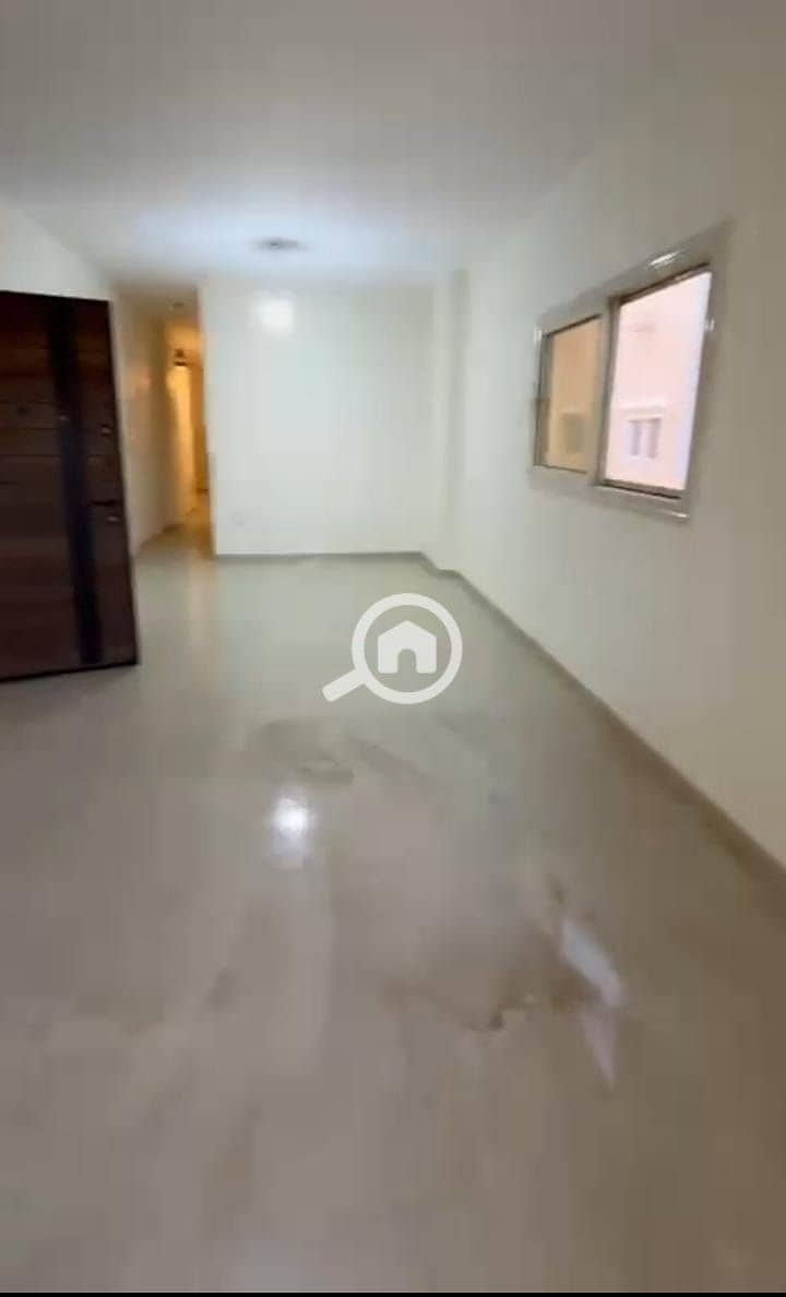 2 WhatsApp Image 2025-10-30 at 16.47. 46_6bf94b33. jpg