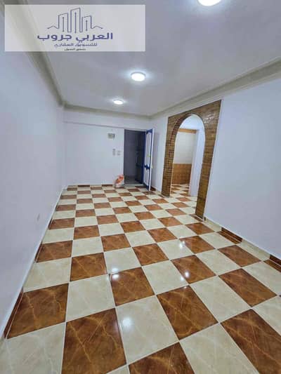 شقة 2 غرفة نوم للبيع في النخيل، الإسكندرية - 44e589fb-31dc-4562-90a5-6e28a07fd073. jpg