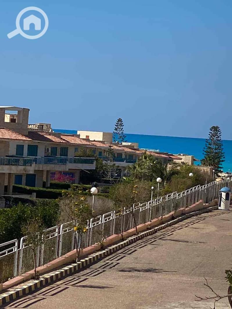 10 df706662-713a-4a0d-b893-6d37fc91c316. jpg