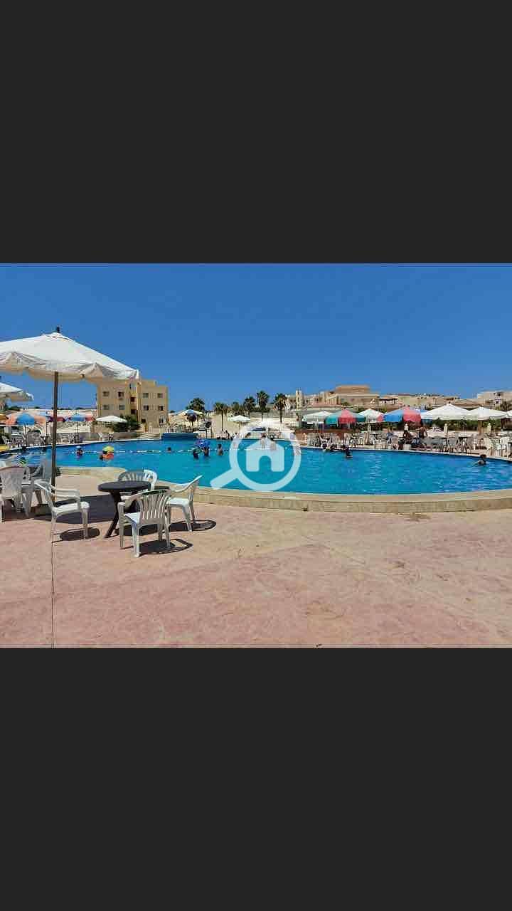 11 ce50bd0a-1b8f-4f37-9326-a7deff13e9c5. jpg