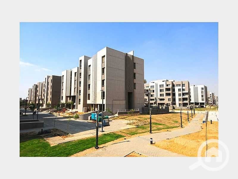 7 5bcc8462e928f. jpg