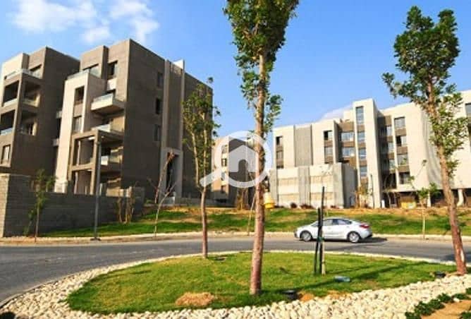 8 481727-9db72o. jpg