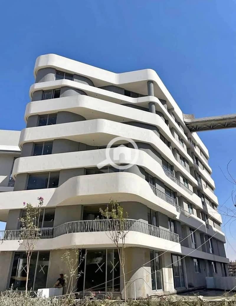 6 574609264_122172614894900138_4476428523878666309_n. jpg