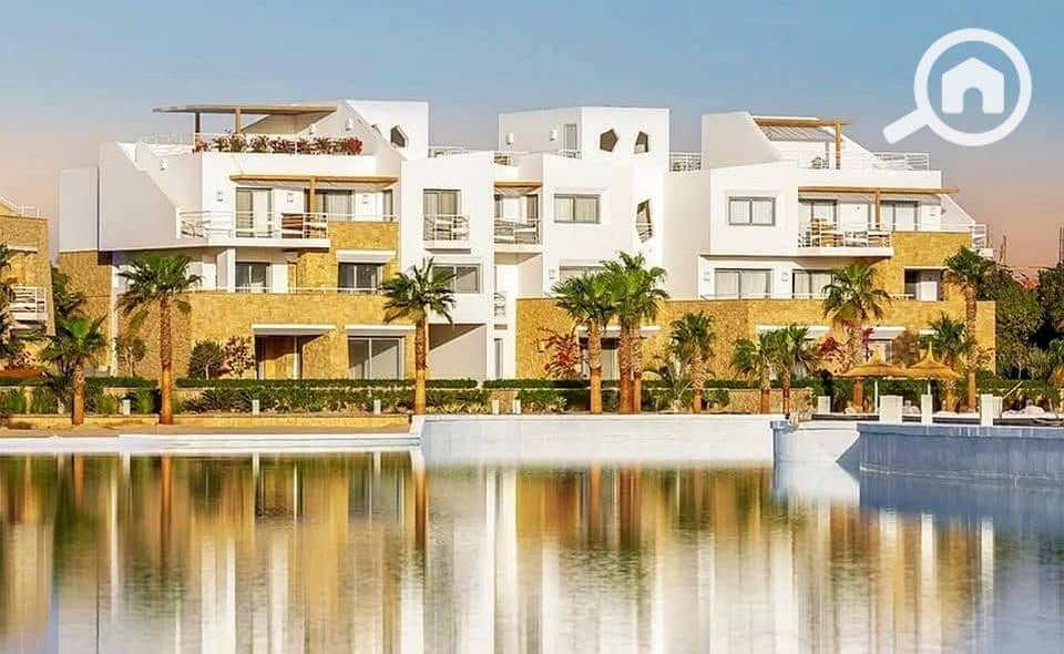 4 563563803_811724531656343_8577148254661899821_n. jpg