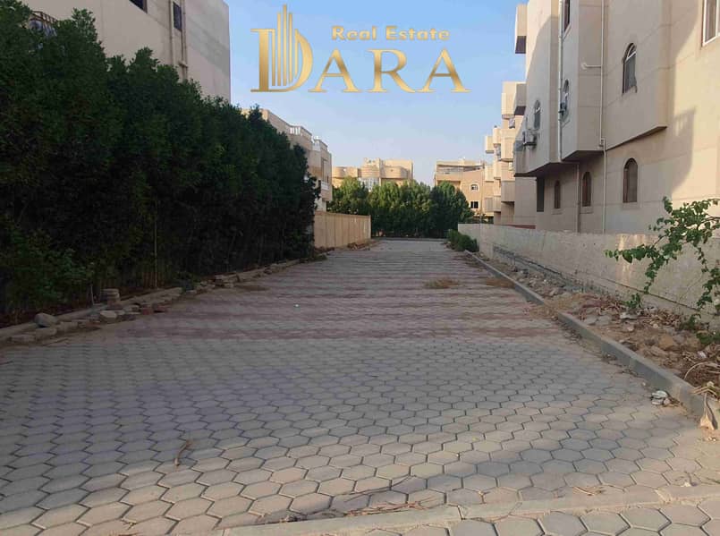 3 IMG_20251115_111534. jpg