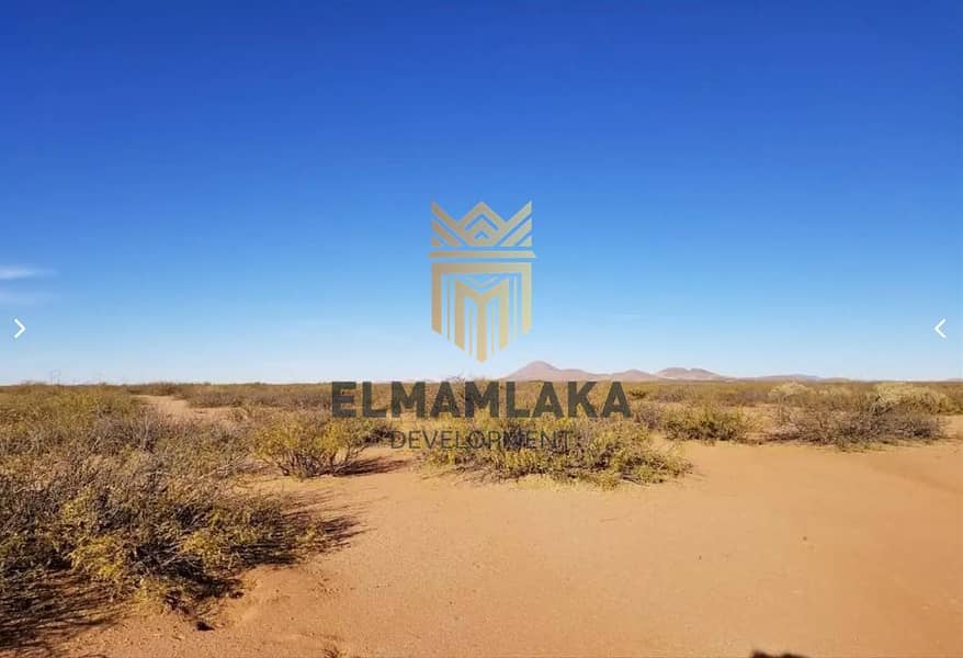 3 WhatsApp Image 2025-11-13 at 2.03. 03 PM (4). jpeg