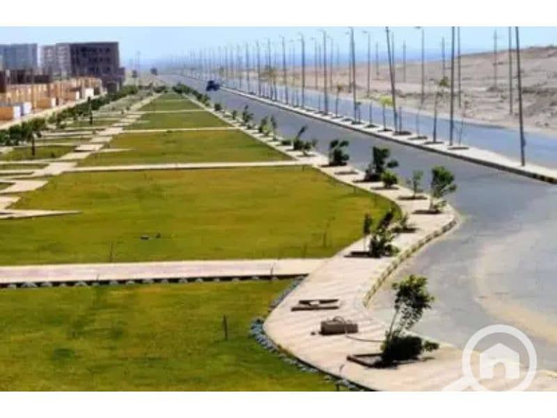 4 7279871-d7d26o. jpg