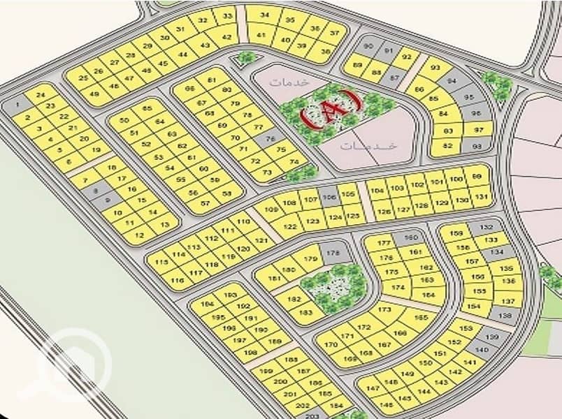 7 306726370_2007396346315687_3905480064941145556_n. jpg