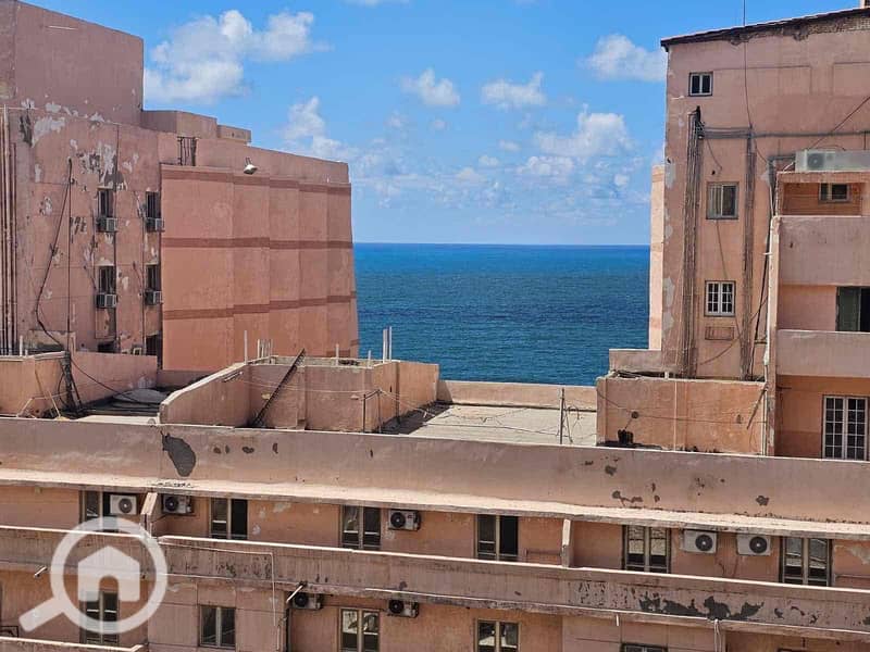 13 61b19531-27de-497c-b183-72c4237d39d1. jpg