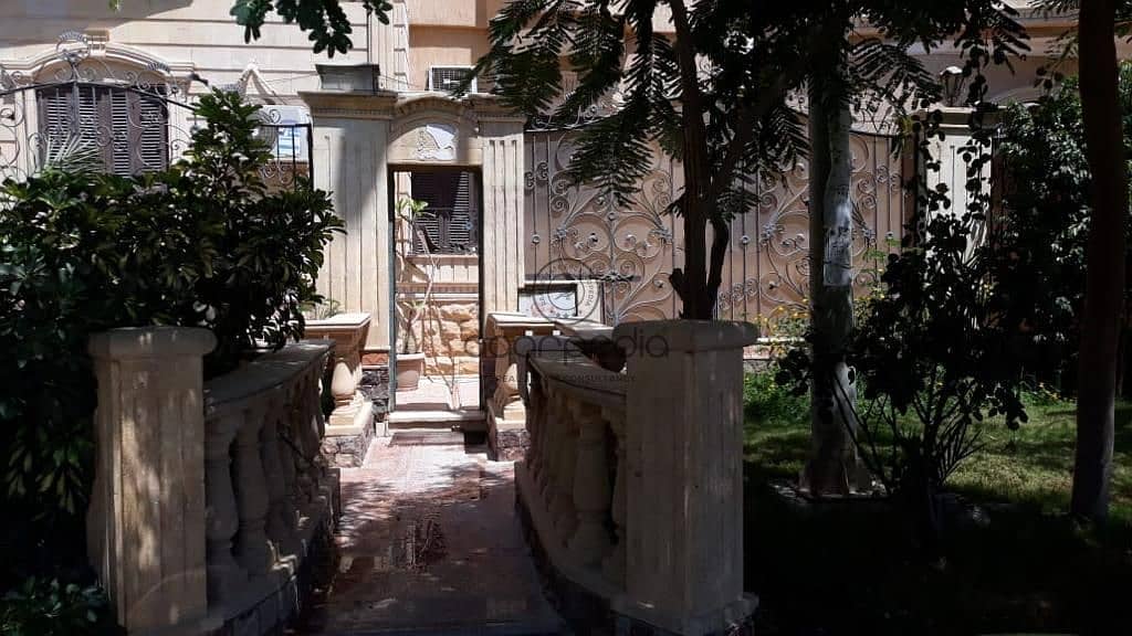 5 WhatsApp Image 2025-09-03 at 3.15. 49 PM (1). jpeg