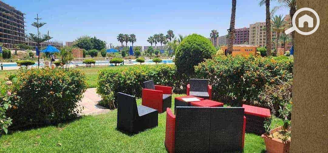 7 f98be1d9-6e1f-4e4a-a054-570a1b0138ef. jpg