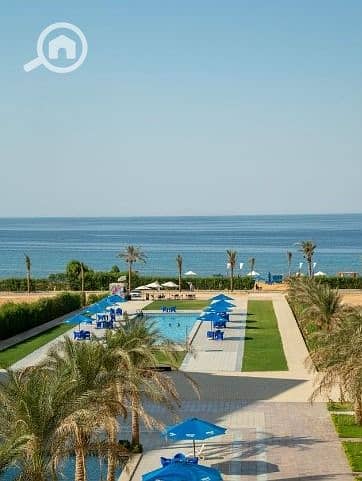 5 79e24476-fd85-4d19-86c5-9afd5b6c2ad2. jpg