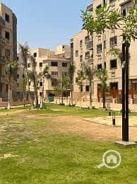 8 ac106cc6-da4e-491c-b3d4-50fee82048dc. jpg