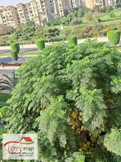 2 Bedroom Flat for Sale in Madinaty, Cairo - WhatsApp Image 2025-11-15 at 1.12. 37 PM (1). jpeg 2 Bedroom Flat for Sale in Madinaty, Cairo - WhatsApp Image 2025-11-15 at 1.12. 37 PM (1). jpeg