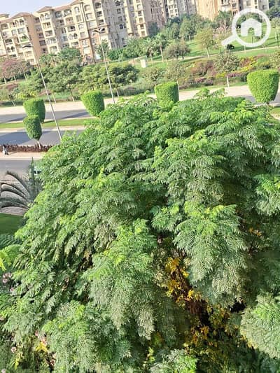 2 Bedroom Apartment for Sale in Madinaty, Cairo - fbc7be02-bc12-40cd-ab76-0091f32b5906. jpeg 2 Bedroom Apartment for Sale in Madinaty, Cairo - fbc7be02-bc12-40cd-ab76-0091f32b5906. jpeg