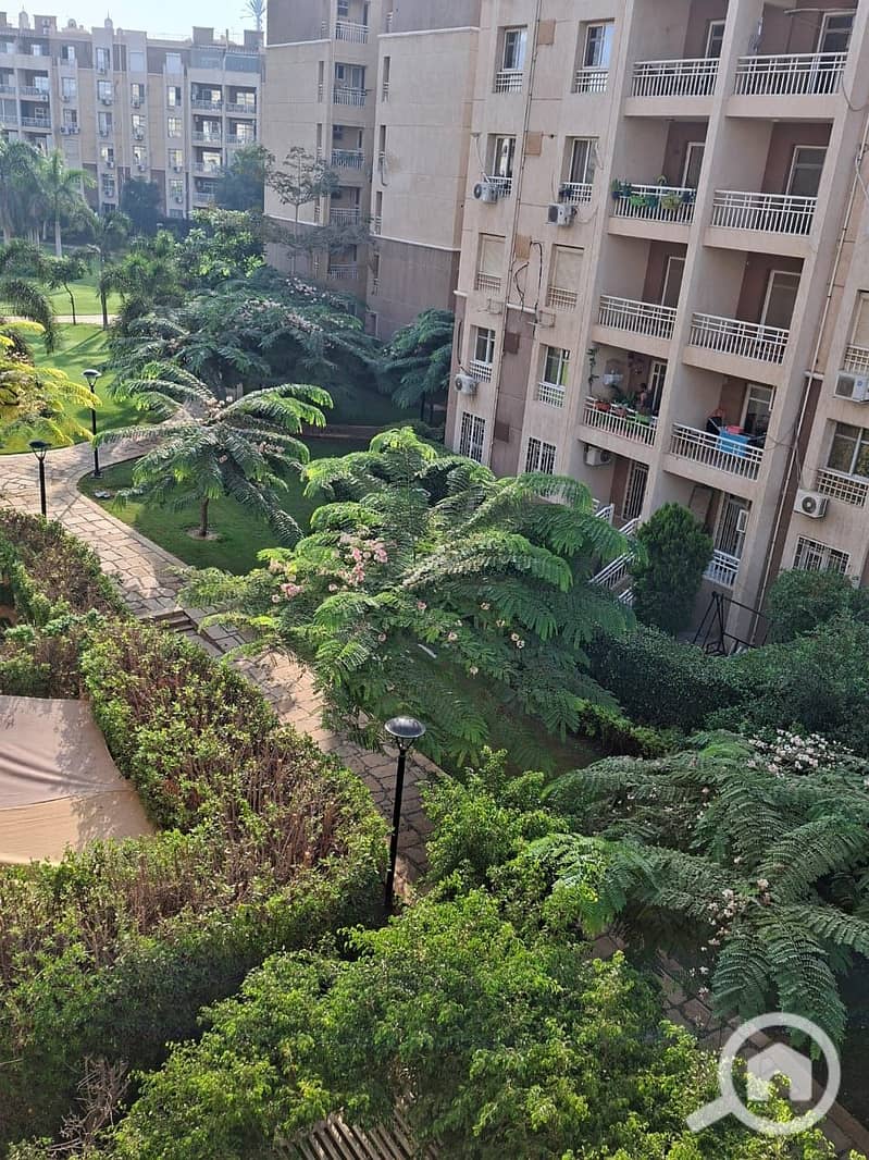 4 e1dea681-d1fd-415e-8332-3fca513eee38. jpeg