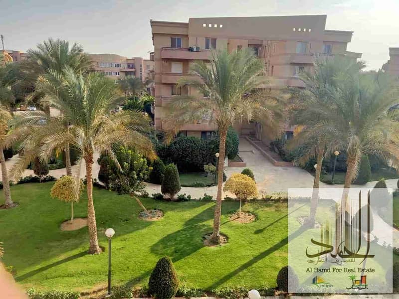 5 IMG-20251115-WA0012. jpg