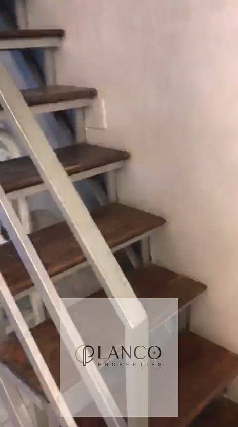 3 5a1f4ea5-3394-4171-ba04-e611fb3aa9bf. jpg