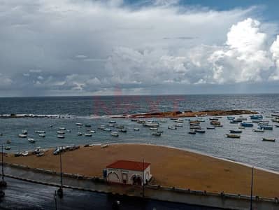 3 Bedroom Flat for Sale in Miami, Alexandria - WhatsApp Image 2025-11-13 at 6.51. 49 PM (1). jpg