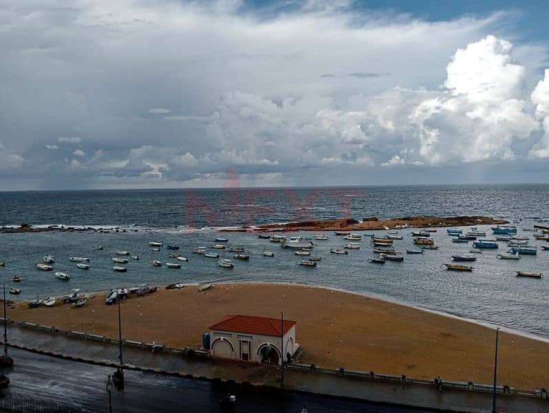 WhatsApp Image 2025-11-13 at 6.51. 49 PM (1). jpg WhatsApp Image 2025-11-13 at 6.51. 49 PM (1). jpg