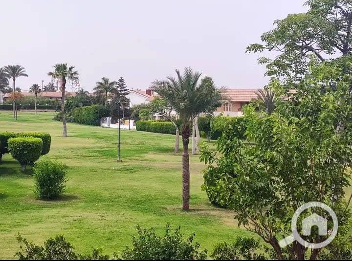 4 IMG_٢٠٢٥٠٣٢٠_١٢٥١٠١. jpg