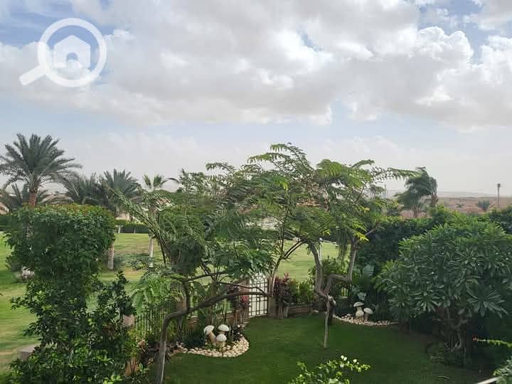 7 FB_IMG_1742467046135. jpg