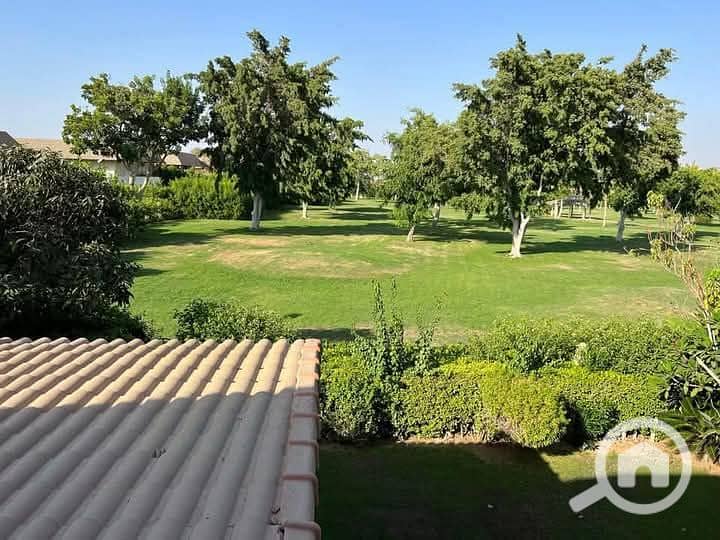 9 FB_IMG_1742467629046. jpg