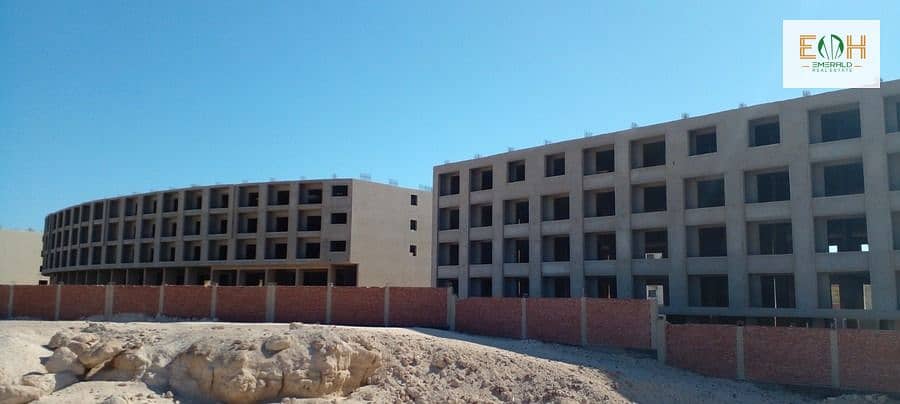 4 WhatsApp Image 2025-09-12 at 21.57. 25. jpeg