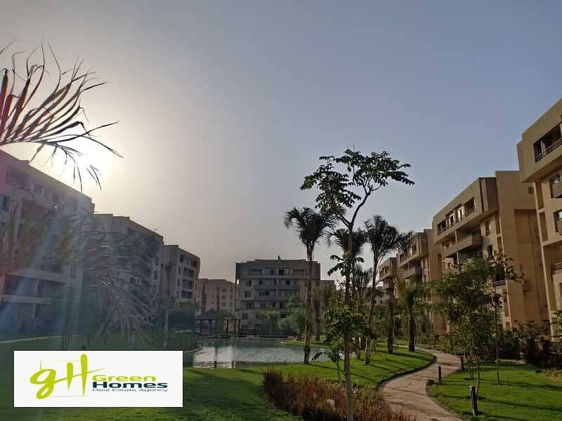 6 WhatsApp Image 2025-01-09 at 15.41. 43. jpeg