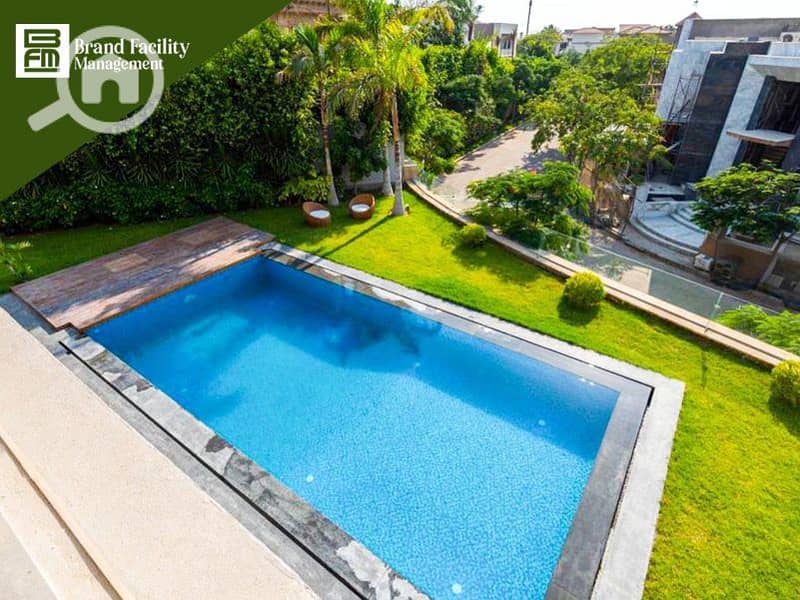 5 d4b5a8c5-5012-43c0-9ca6-d184a5fc700a. jpg