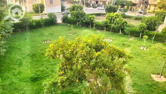 3 Bedroom Apartment for Sale in New Cairo, Cairo - 1001066557. jpg 3 Bedroom Apartment for Sale in New Cairo, Cairo - 1001066557. jpg