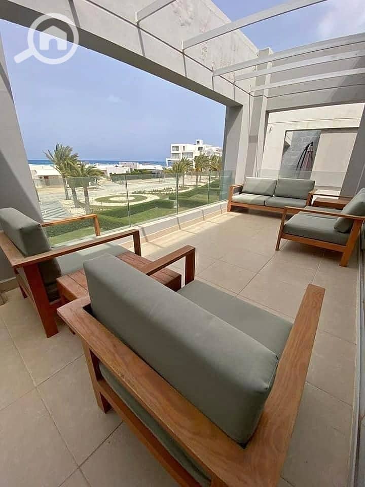 455603216_1180333759900184_6742678627815006637_n. jpg 455603216_1180333759900184_6742678627815006637_n. jpg