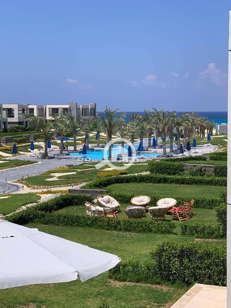 10 472908931_1284576552746527_6709545749973351827_n. jpg