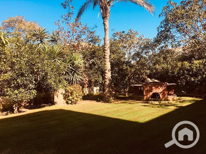 6 WhatsApp Image 2025-09-24 at 11.08. 45 AM. jpeg