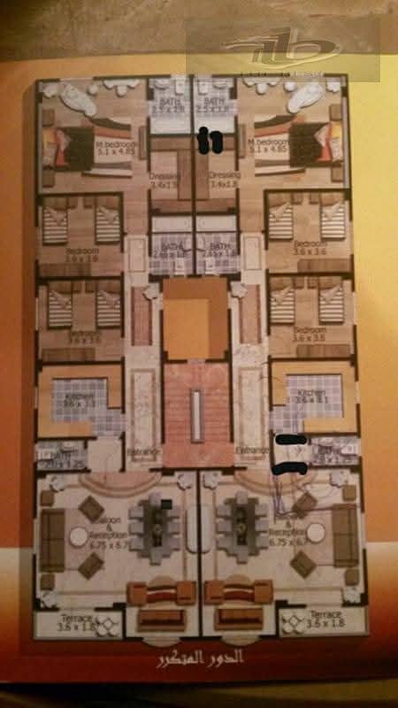 4 WhatsApp Image 2025-11-15 at 14.05. 18_511dbd7c. jpg