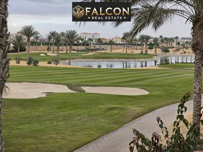 10 489670733_4066015207016532_5306799594699591498_n. jpg