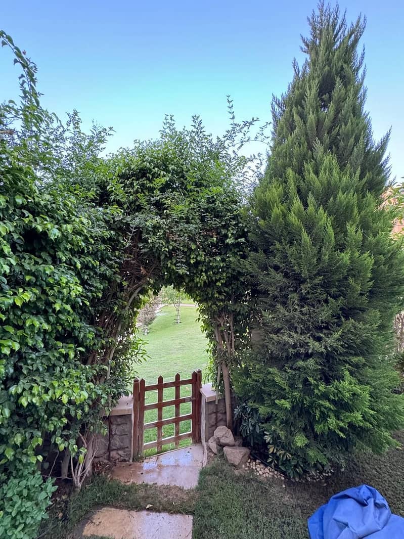 19 WhatsApp Image 2025-09-28 at 4.02. 46 PM (3). jpeg